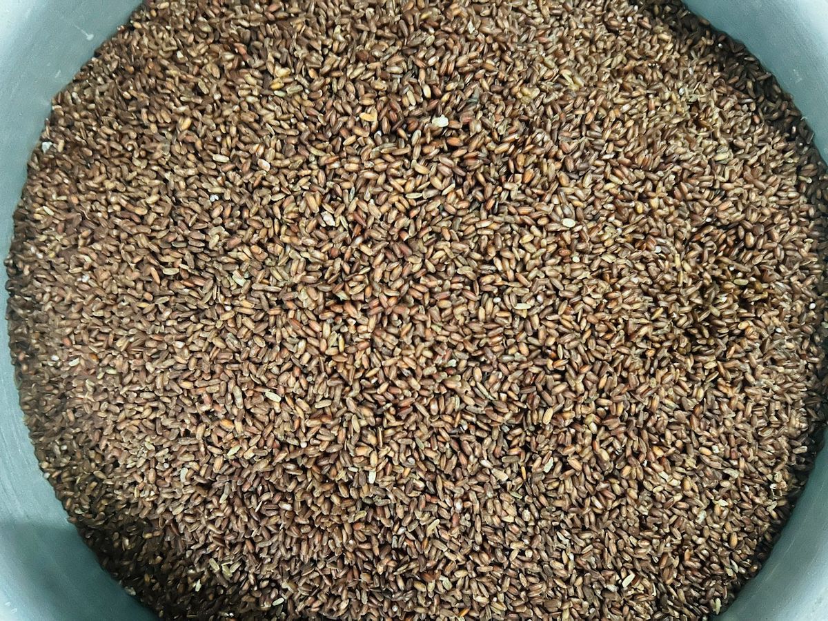 Full Fiber Aman Rice - Image 2